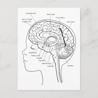 頭の中のもの ポストカード