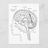 頭の中のもの ポストカード (正面)