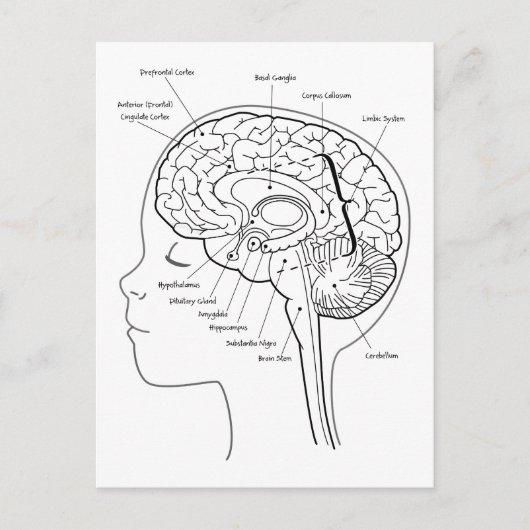頭の中のもの ポストカード (正面)