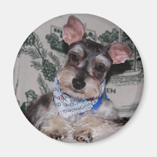 頭の傾き マグネット (正面)