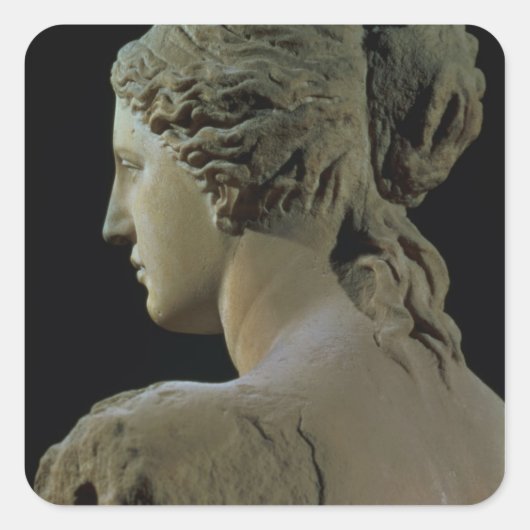 頭の後ろの詳細のヴィーナス・デ・ミロ スクエアシール (正面)