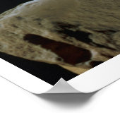 頭の後ろの詳細のヴィーナス・デ・ミロ ポスター (角)