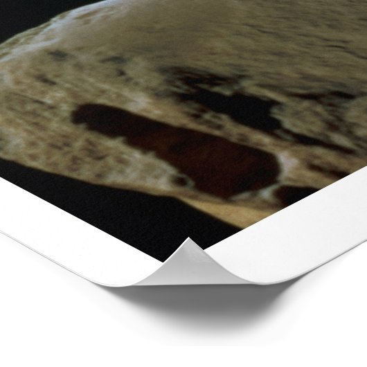 頭の後ろの詳細のヴィーナス・デ・ミロ ポスター (角)