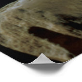 頭の後ろの詳細のヴィーナス・デ・ミロ ポスター (角)