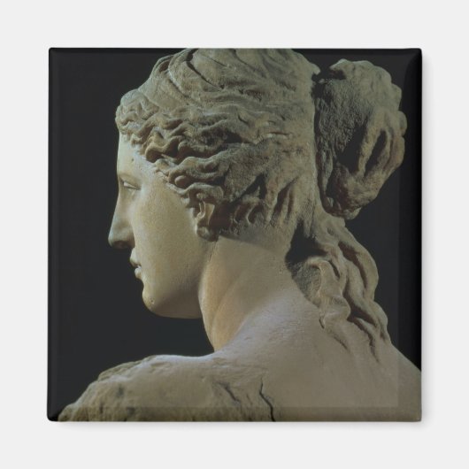 頭の後ろの詳細のヴィーナス・デ・ミロ マグネット (正面)