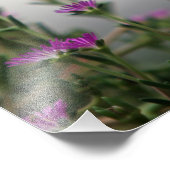 頭の最初のハミングバード フォトプリント (角)