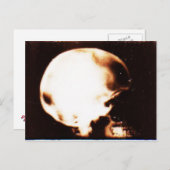 頭の空の ポストカード (正面/裏面)