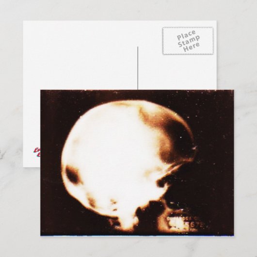 頭の空の ポストカード (正面/裏面)