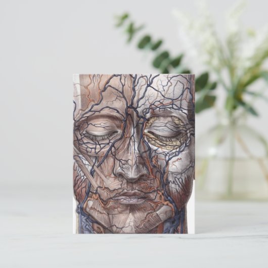 頭の静脈と筋肉 ポストカード (スタンド正面)