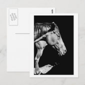 頭の馬の脚 ポストカード (正面/裏面)