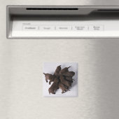 頭を合わせた子犬のグループ マグネット (インサイチュ (食洗機))