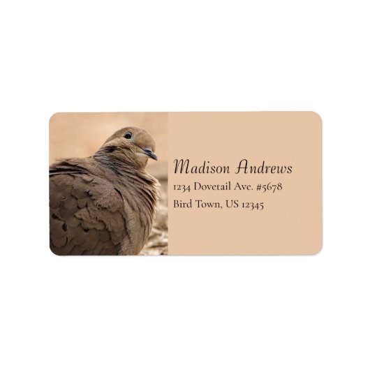 頭を覆った茶色のモーニング鳩の鳥/ベージュ ラベル (正面)