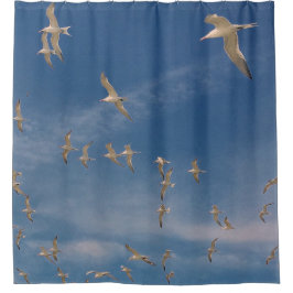 頭上の提灯 シャワーカーテン