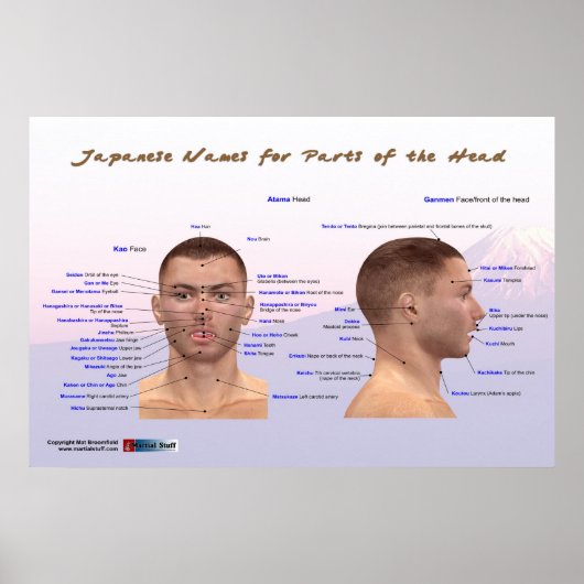 頭日本のの部分の名前 ポスター (正面)