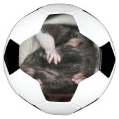 頭痛だ！ サッカーボール (回転)