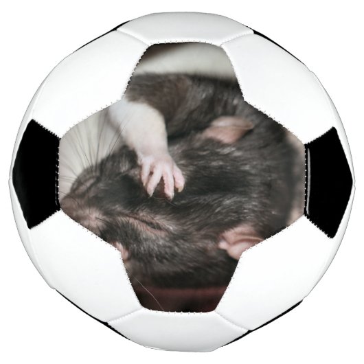 頭痛だ！ サッカーボール (回転)