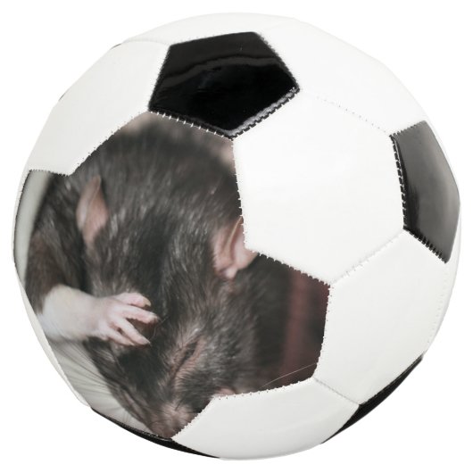 頭痛だ！ サッカーボール (3/4)