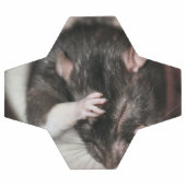 頭痛だ！ サッカーボール (フラット)