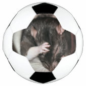 頭痛だ！ サッカーボール (正面)