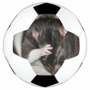 頭痛だ! サッカーボール