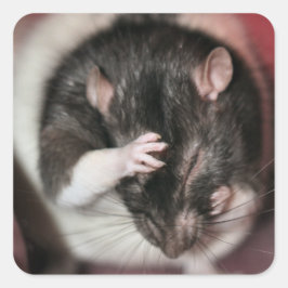 頭痛だ! スクエアシール