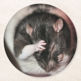 頭痛だ！ ラウンドペーパーコースター