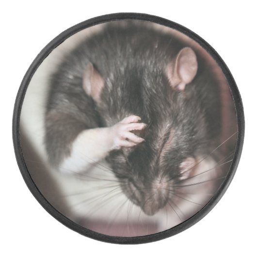 頭痛 アイスホッケーパック (正面)