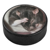 頭痛 アイスホッケーパック (3/4)