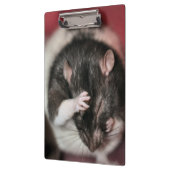 頭痛 クリップボード (左)