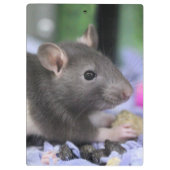 頭痛 クリップボード (裏面)