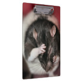 頭痛 クリップボード (右)