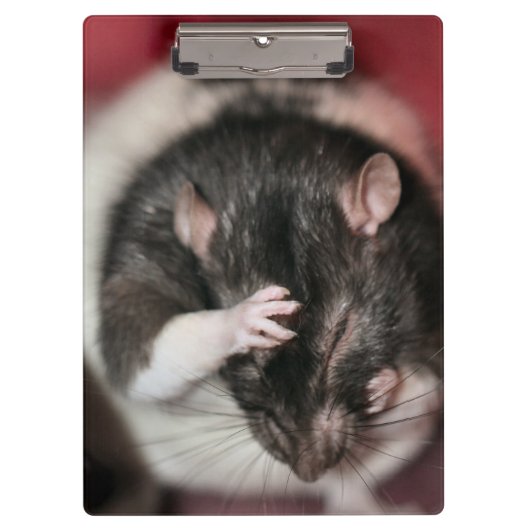 頭痛 クリップボード (正面)