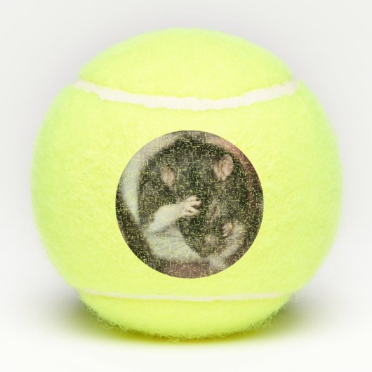 頭痛 テニスボール (裏面)