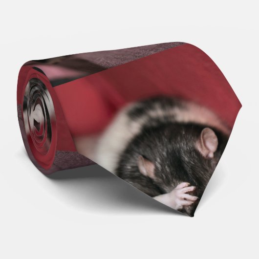 頭痛 ネクタイ (ロール)