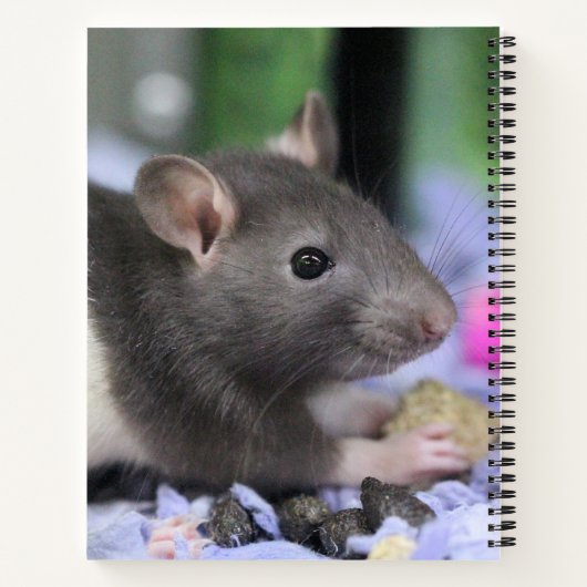 頭痛 ノートブック (裏面)