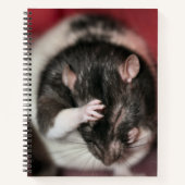 頭痛 ノートブック (正面)