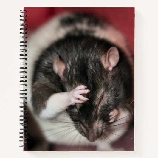 頭痛 ノートブック (正面)