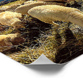 頭筋数のカウント ポスター (角)