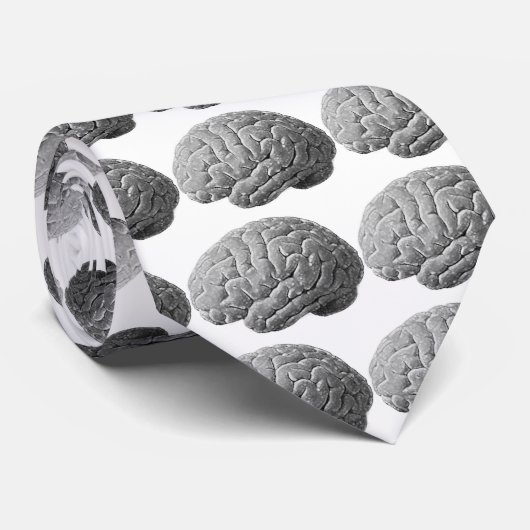頭脳のギフト ネクタイ (ロール)