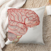 頭脳の動脈 クッション (ブランケット)
