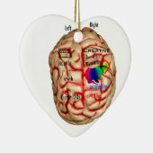 頭脳の左右の側面 セラミックオーナメント (右)