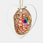 頭脳の左右の側面 セラミックオーナメント (左)
