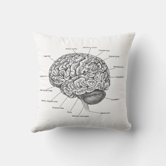 頭脳の解剖学 クッション (裏面)