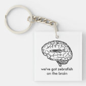 頭脳のkeychainのzebrafish キーホルダー (正面)
