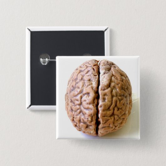 頭脳ボタン 缶バッジ (正面&裏面)