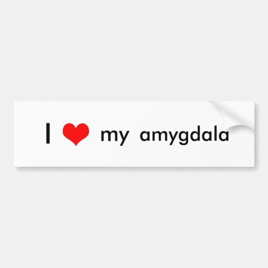 頭脳愛 バンパーステッカー (正面)