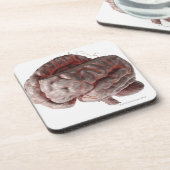 頭脳3の動脈 コースター (左側)