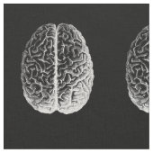 頭脳! ファブリック (クローズアップ)