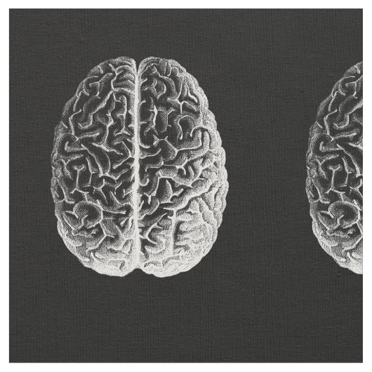 頭脳! ファブリック (クローズアップ)