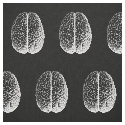 頭脳! ファブリック (見本)